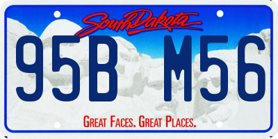 SD license plate 95BM56