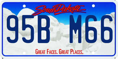 SD license plate 95BM66