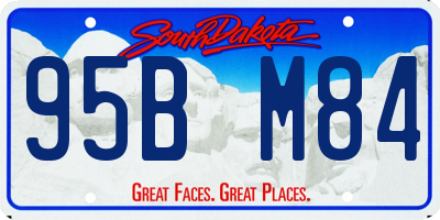 SD license plate 95BM84