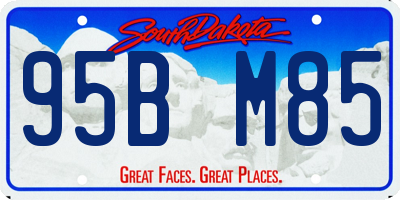 SD license plate 95BM85