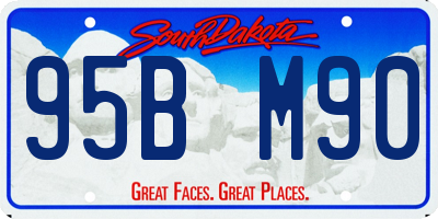 SD license plate 95BM90