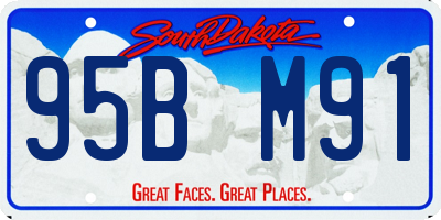 SD license plate 95BM91