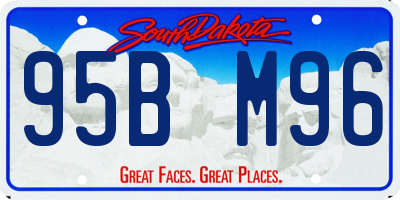 SD license plate 95BM96