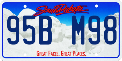 SD license plate 95BM98