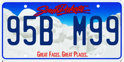 SD license plate 95BM99