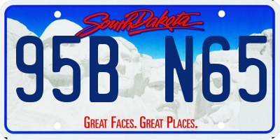 SD license plate 95BN65