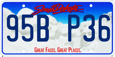 SD license plate 95BP36