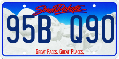 SD license plate 95BQ90