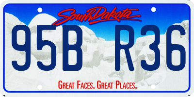 SD license plate 95BR36