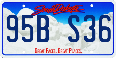 SD license plate 95BS36
