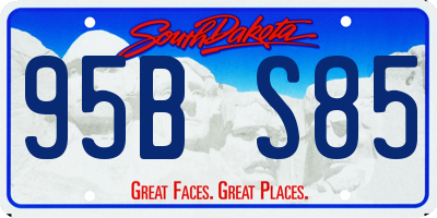 SD license plate 95BS85