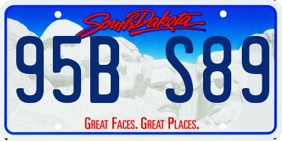 SD license plate 95BS89