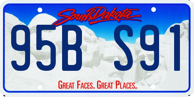 SD license plate 95BS91