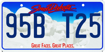 SD license plate 95BT25