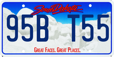 SD license plate 95BT55