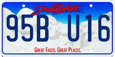 SD license plate 95BU16