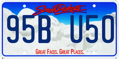 SD license plate 95BU50