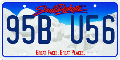SD license plate 95BU56