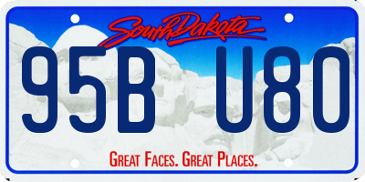 SD license plate 95BU80