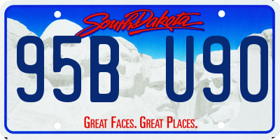 SD license plate 95BU90