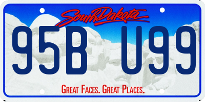 SD license plate 95BU99