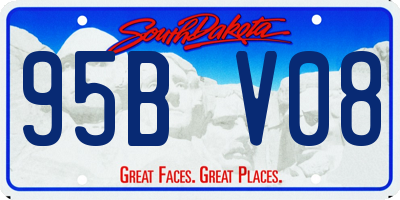 SD license plate 95BV08