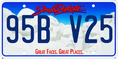SD license plate 95BV25