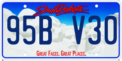 SD license plate 95BV30