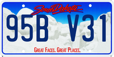 SD license plate 95BV31