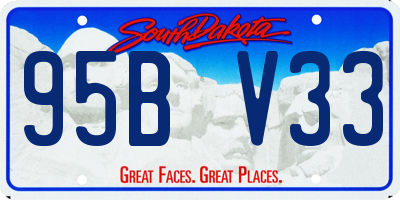 SD license plate 95BV33