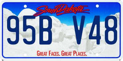 SD license plate 95BV48