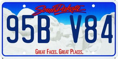 SD license plate 95BV84
