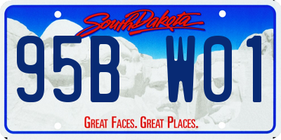 SD license plate 95BW01