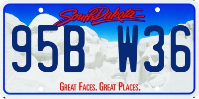 SD license plate 95BW36