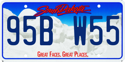 SD license plate 95BW55