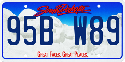 SD license plate 95BW89