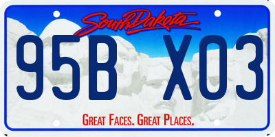 SD license plate 95BX03