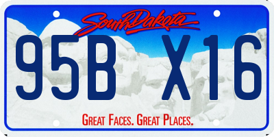 SD license plate 95BX16
