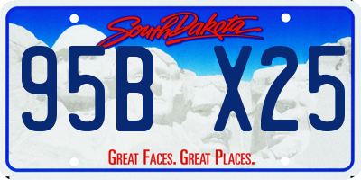 SD license plate 95BX25