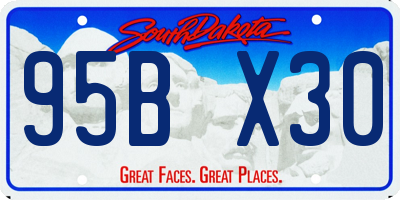 SD license plate 95BX30