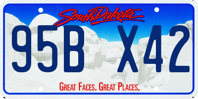 SD license plate 95BX42