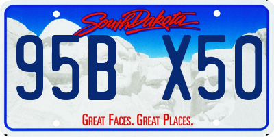SD license plate 95BX50