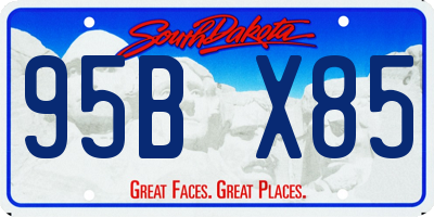 SD license plate 95BX85