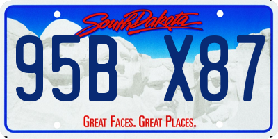 SD license plate 95BX87