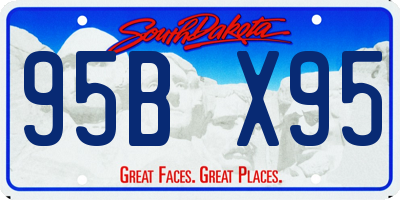 SD license plate 95BX95