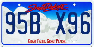 SD license plate 95BX96