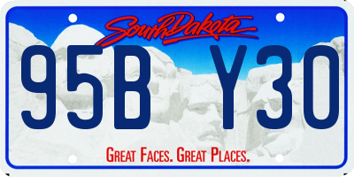 SD license plate 95BY30