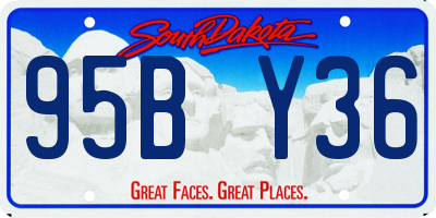 SD license plate 95BY36