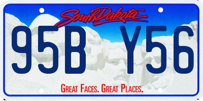 SD license plate 95BY56