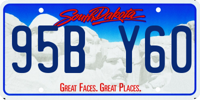 SD license plate 95BY60